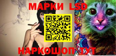 spice Обь