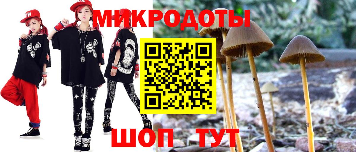 Тавда  Псилоцибиновые грибы Magic Shrooms  Вход с VPN 