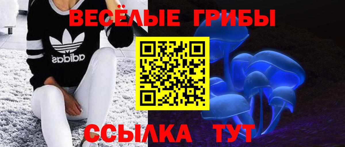 Псилоцибиновые грибы Magic Shrooms Тавда